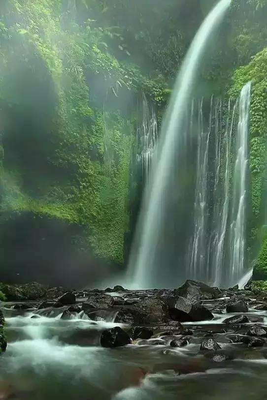 逃出白海豹洞