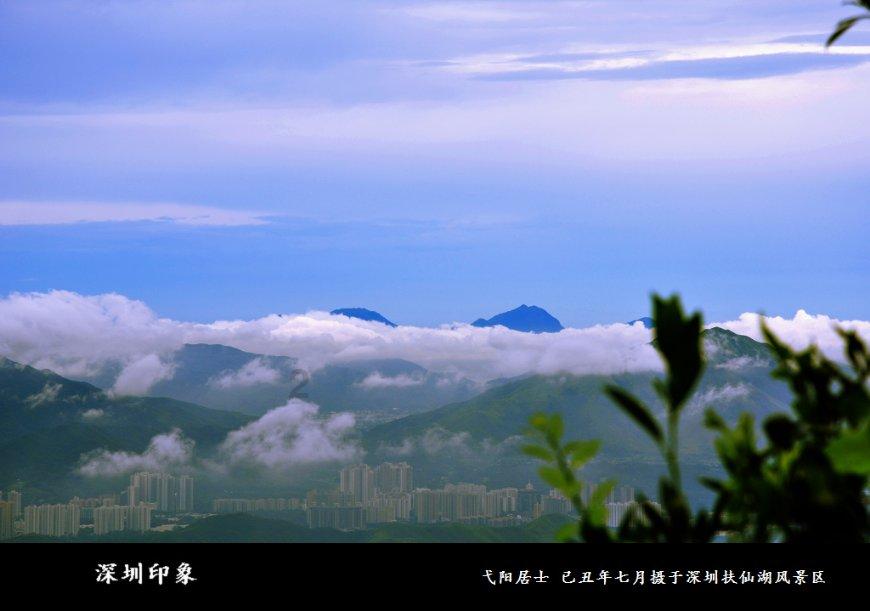 旗舰基金今年下跌12%，“木头姐”又让投资者失望，本月已撤资近5亿美元