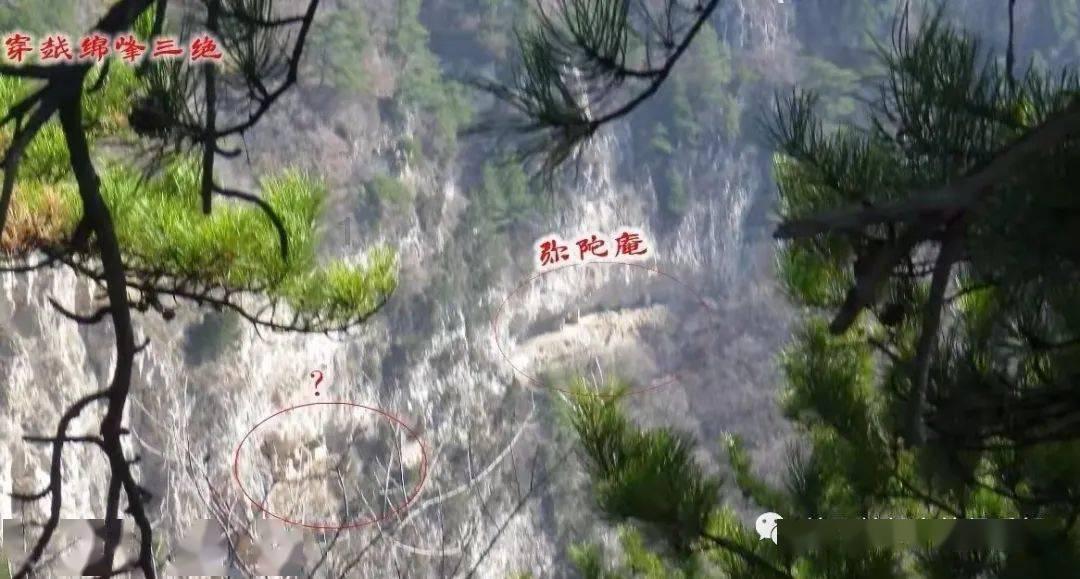 三盛宏业董事长陈建铭与重要到访伙伴会友好交流，增进合作