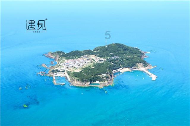 植物大战僵尸17
