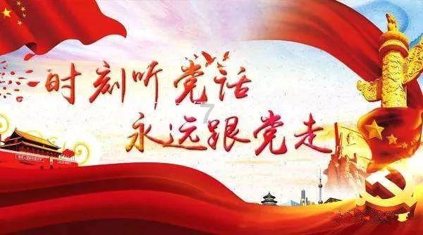 照顾小兔宝宝
