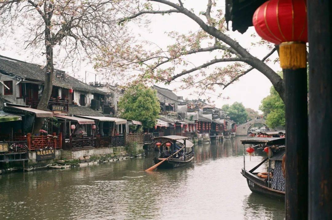 春雨直播app